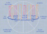 100 Swiss francs Time-space relationship