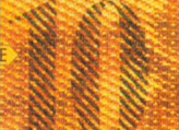 10 Swiss francs chameleon number