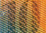 10 Swiss francs glittering number