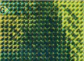 50 Swiss francs glittering number