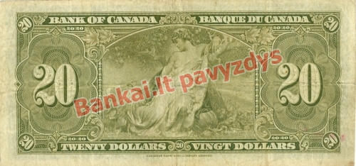 20 Dolerių banknoto galinė pusė