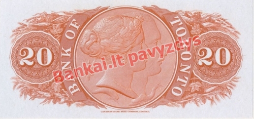 20 Dolerių banknoto galinė pusė