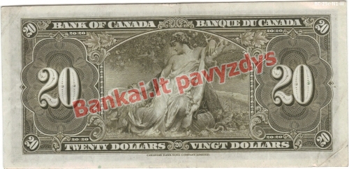 20 Dolerių banknoto galinė pusė