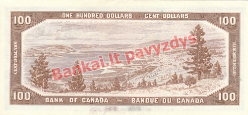 100 Dolerių banknoto galinė pusė