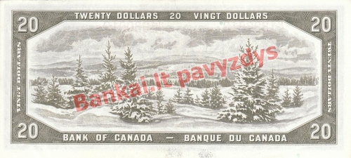 20 Dolerių banknoto galinė pusė