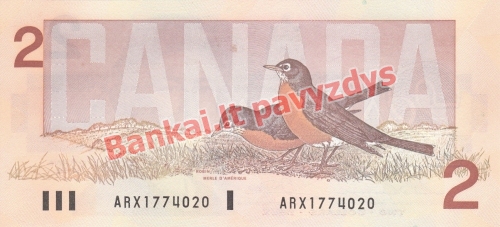 2 Dolerių banknoto galinė pusė