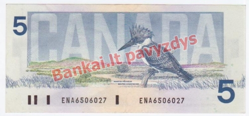 5 Dolerių banknoto galinė pusė