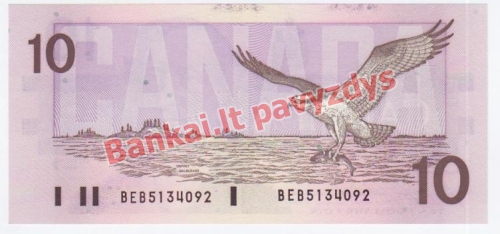 10 Dolerių banknoto galinė pusė