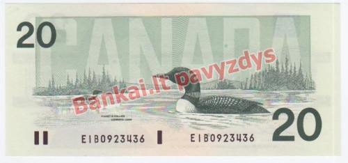 20 Dolerių banknoto galinė pusė