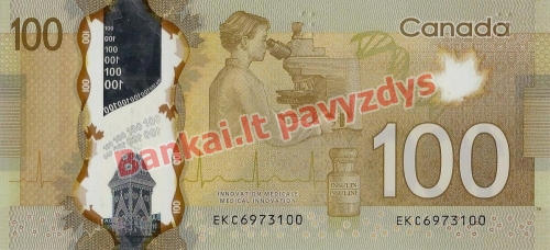100 Dolerių banknoto galinė pusė