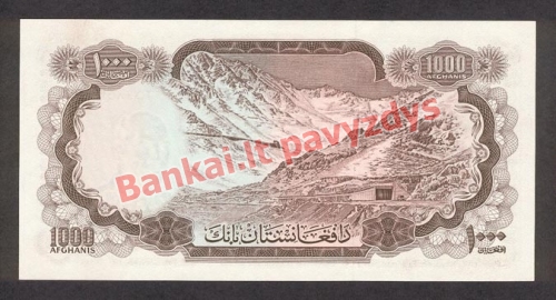 1000 Afganių banknoto galinė pusė