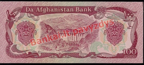 100 Afganių banknoto galinė pusė