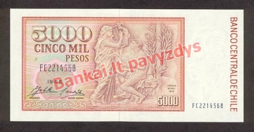 5000 Pesų banknoto galinė pusė