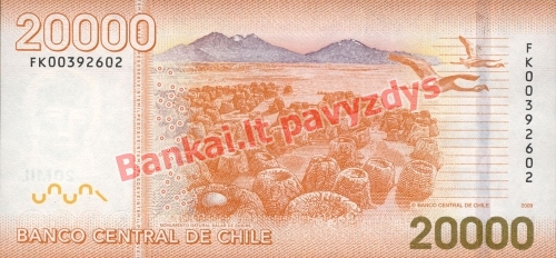 20000 Pesų banknoto galinė pusė