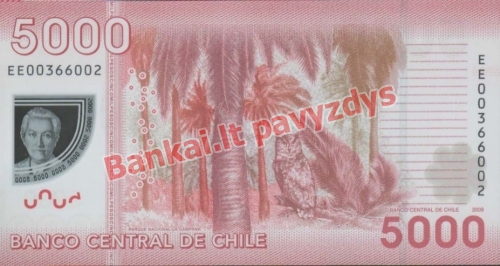 5000 Pesų banknoto galinė pusė