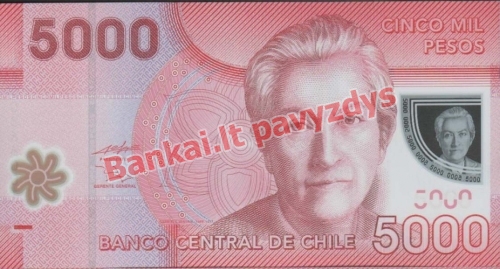 5000 Pesų banknoto priekinė pusė