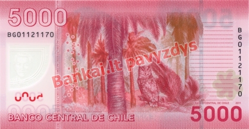 5000 Pesų banknoto galinė pusė