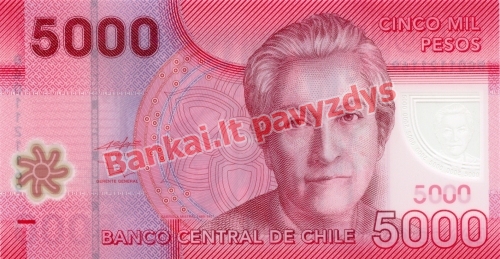 5000 Pesų banknoto priekinė pusė
