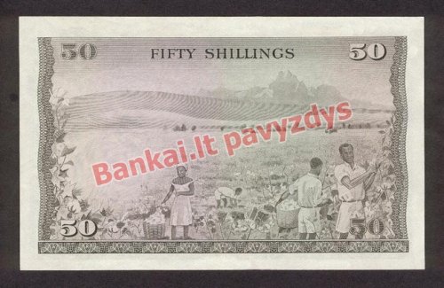 50 Šilingų banknoto galinė pusė