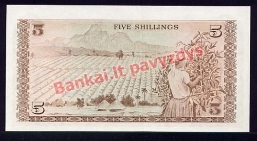 5 Šilingų banknoto galinė pusė