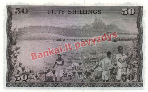50 Šilingų banknoto galinė pusė