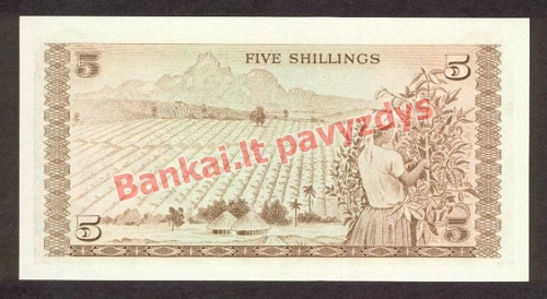 5 Šilingų banknoto galinė pusė