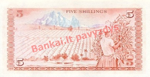 5 Šilingų banknoto galinė pusė
