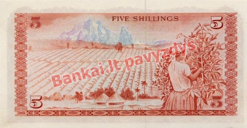 5 Šilingų banknoto galinė pusė