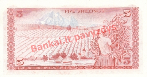 5 Šilingų banknoto galinė pusė