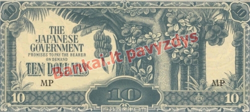 10 Dolerių banknoto priekinė pusė