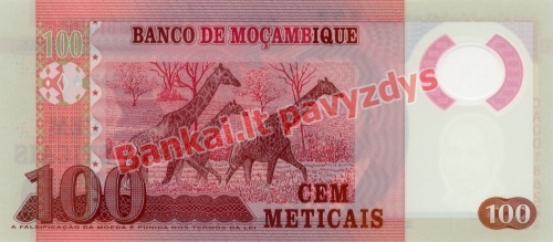 100 Metikalių banknoto galinė pusė