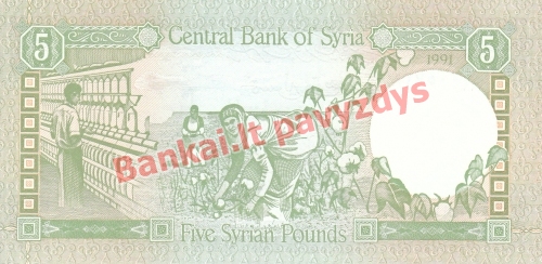 5 Svarų banknoto galinė pusė