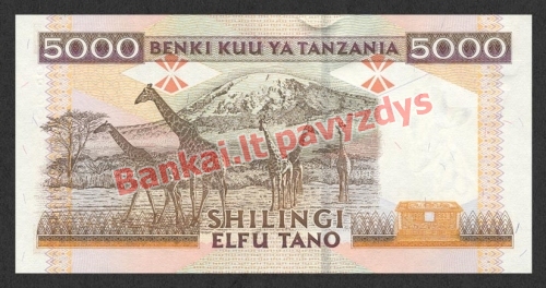 5000 Šilingų banknoto galinė pusė
