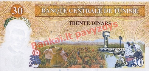 30 Dinarų banknoto galinė pusė