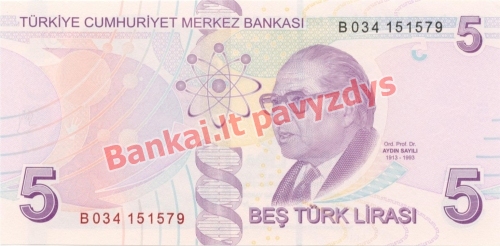 5 Lirų banknoto galinė pusė