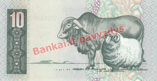 10 Randų banknoto galinė pusė
