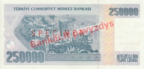 250000 Lirų banknoto galinė pusė