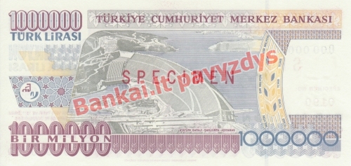 1000000 Lirų banknoto galinė pusė