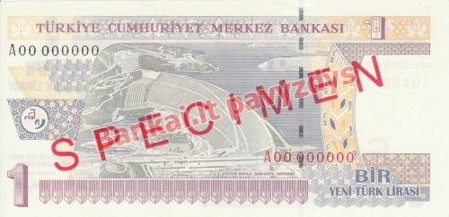 1 New Lirų banknoto galinė pusė