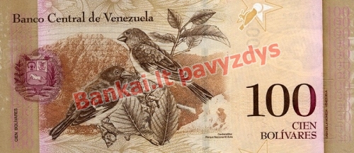 100 Bolivarų banknoto galinė pusė