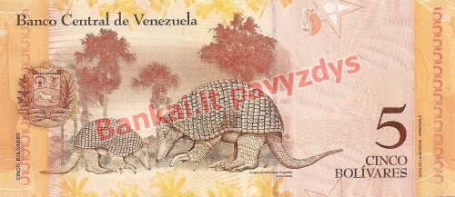 5 Bolivarų banknoto galinė pusė