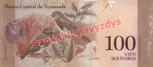100 Bolivarų banknoto galinė pusė