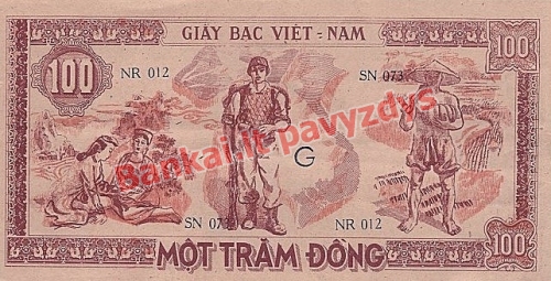 100 Dongų banknoto galinė pusė
