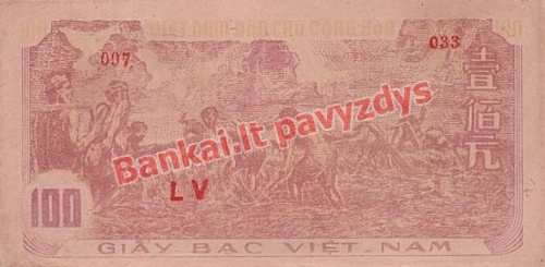 100 Dongų banknoto galinė pusė