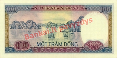 100 Dongų banknoto galinė pusė