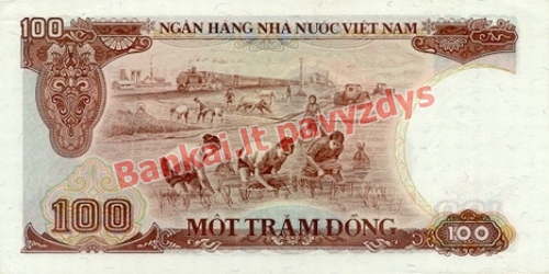 100 Dongų banknoto galinė pusė