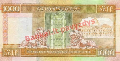 1000 Dolerių banknoto galinė pusė