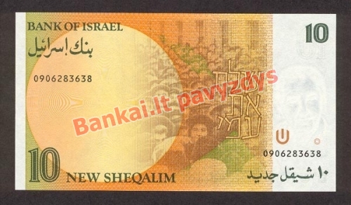 10 Naujųjų šekelių banknoto galinė pusė