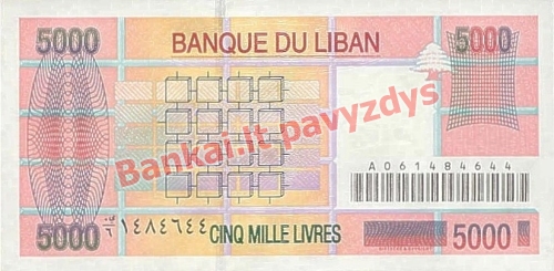 5000 Livrų banknoto galinė pusė
