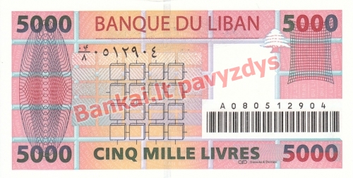 5000 Livrų banknoto galinė pusė
